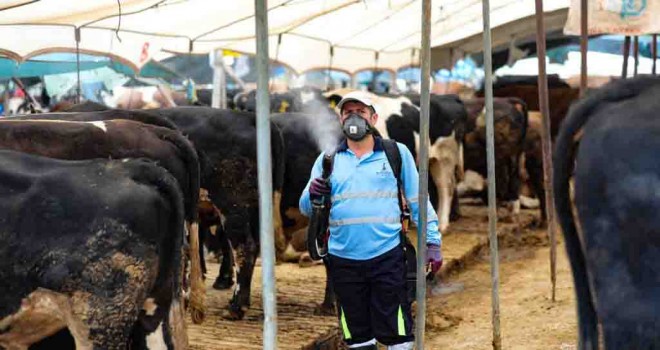 Bayraklı Belediyesi Kurban Bayramı’na hazır