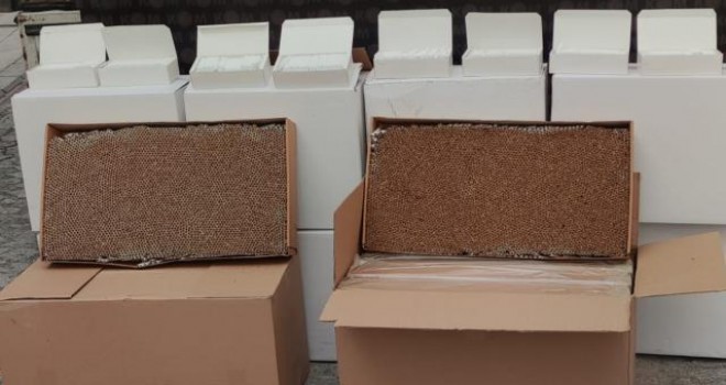 İzmir'de 4 milyon 100 bin makaron ele geçirildi