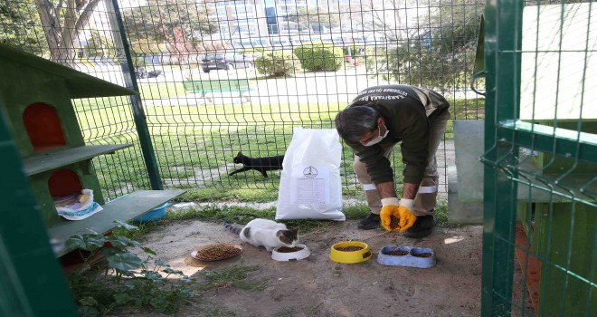 Can dostlar Karşıyaka Belediyesi’ne emanet