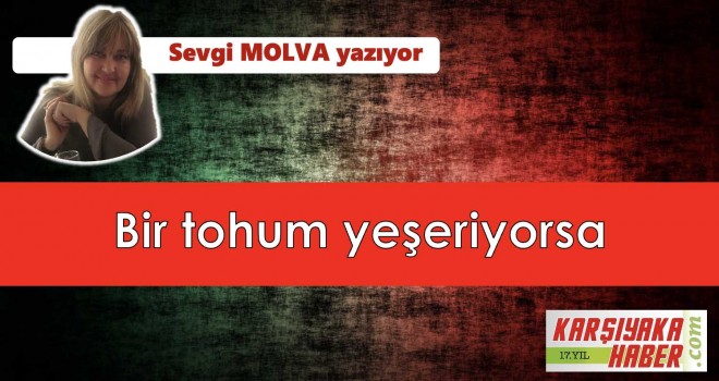 Bir tohum yeşeriyorsa