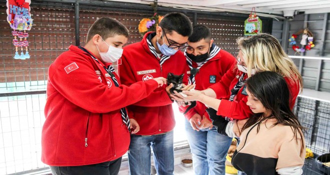 Buca’da engelli kediler yeni yuvalarını bekliyor