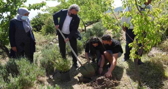 Bornova’da hedef 500 bin tohum