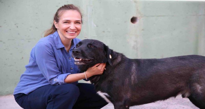 Karşıyaka’da can dostlar için 25 ton mama toplandı