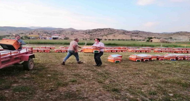 İzmir Büyükşehir 2020’nin ilk kovanlarını dağıttı