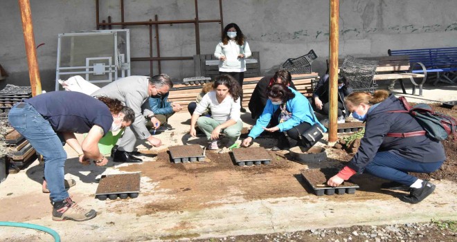 Yaz sebzelerinin tohumları toprakla buluştu