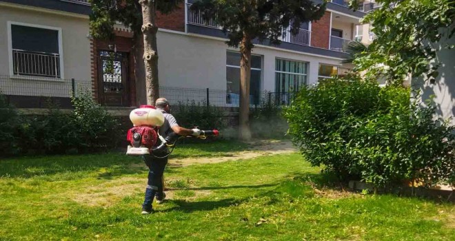 Karşıyaka'da sinek ve haşereyle etkin mücadele