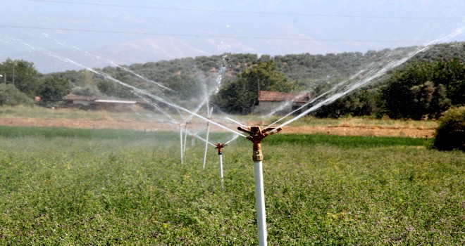 Aktaş Barajı’ndan Ödemiş Ovası'na su verildi