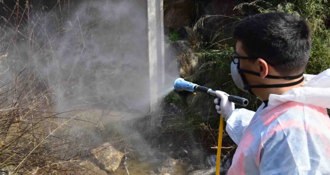 Sineksiz bir yaz için ilaçlamalar başladı