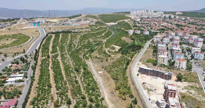 Ödüllü proje Portakal Vadisi’nde çalışmalar başladı