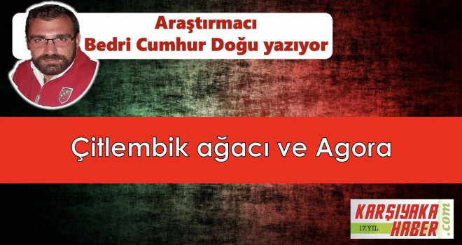 Çitlembik ağacı ve Agora