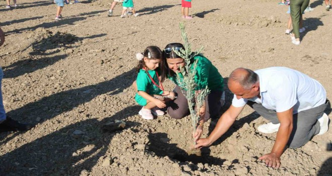Foçalı minikler 103 zeytin fidanı dikti