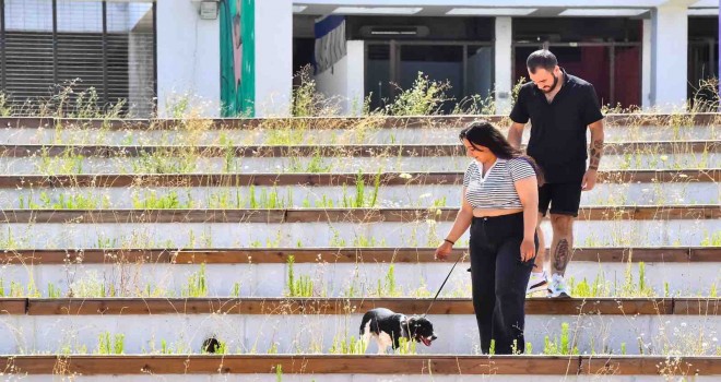 İzmirli gençler Hatay’dan gelen depremzede köpeği sahiplendi