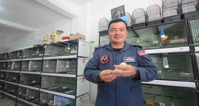 Pilot Albay Tamer Bekdemir'in kanarya aşkı