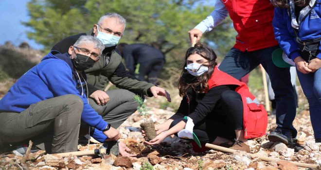 İzmir'de 30 noktada 20 Bin fidan toprakla buluştu