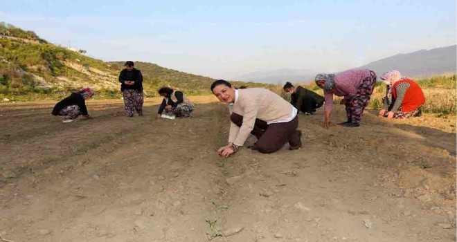 Başkan Sengel'den ''Tüm Türkiye eksin'' çağrısı