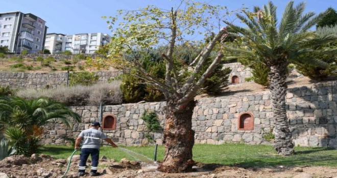 Karabağlar Belediyesi’nden yeşile saygı