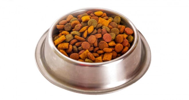 Köpek Maması ve Köpek Malzemeleri Avantajlı ve Uygun Fiyatlarla Zoo.com.tr ‘de!