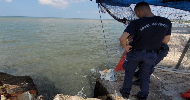 175 kilo kaçak midye yakalandı