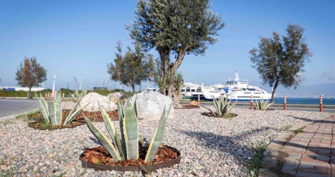 İzmir’in çehresi su tasarruflu bitkilerle güzelleşiyor