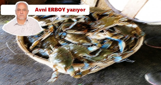 Sepetteki yengeçler değil, tarladaki karıncalar…