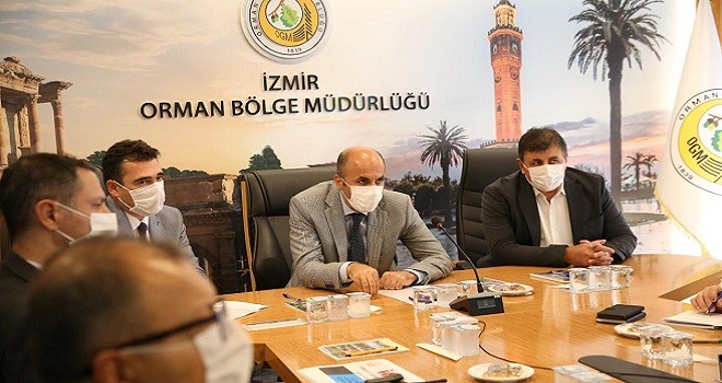 Karşıyaka’daki başıboş atlar, doğal yaşam alanlarına bırakılacak