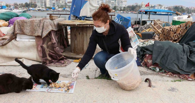Karşıyaka'da can dostlara beslenme desteği