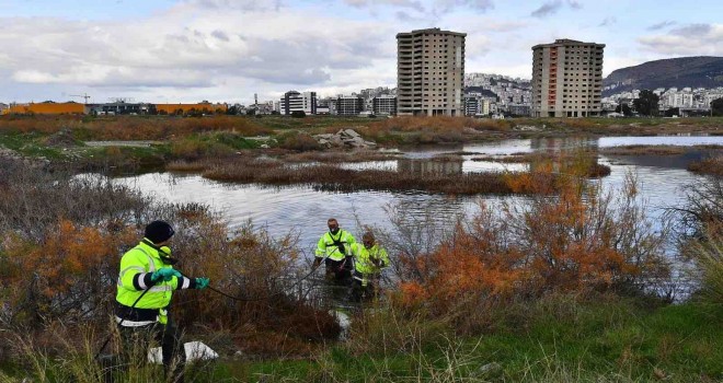 ​Sivrisinek ve haşereyle mücadele 12 ay sürüyor