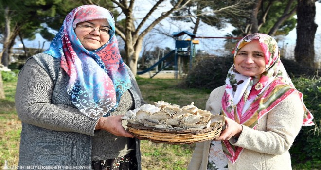 Hem kazançlı hem sağlıklı