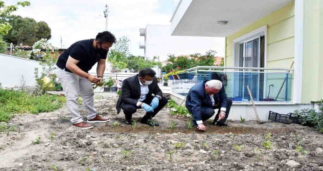 Dikili Belediyesi'nden vatandaşa 20 Bin fide