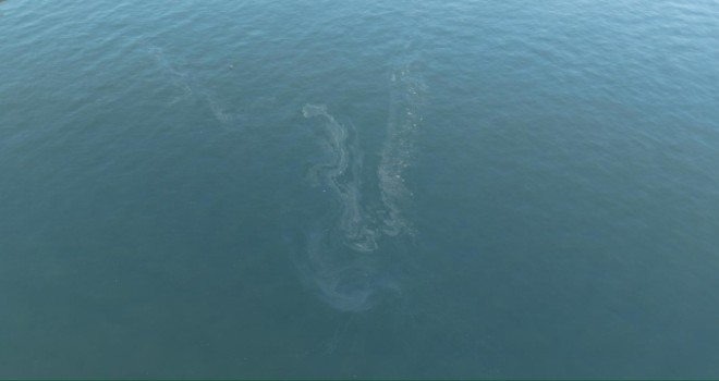 Hainler İzmir Körfezi'ni yine kirletti