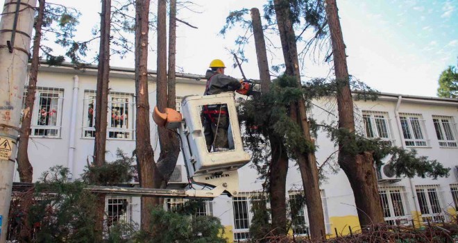 Karşıyaka’da çevre düzenleme çalışmaları devam ediyor