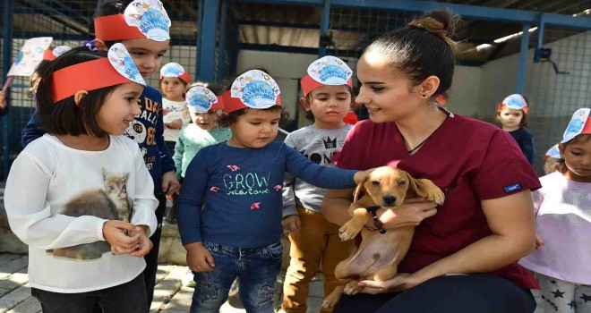 1500 köpeğe rehabilitasyon merkezi