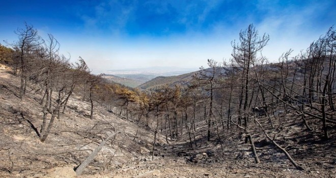 Büyükşehir'e yangınlarla ilgili bağış toplama izni verildi