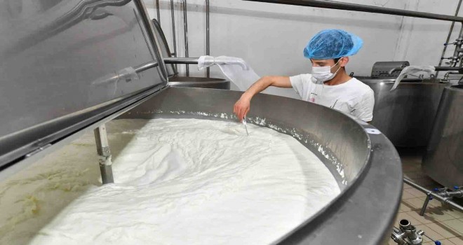 İzmir’de süt üreticisi nefes almaya başladı