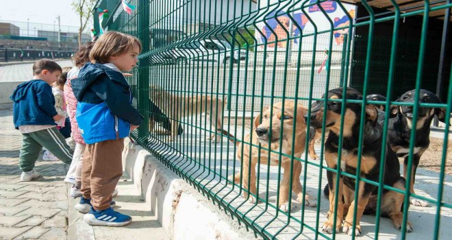 Karşıyakalı miniklerden can dostlara ziyaret