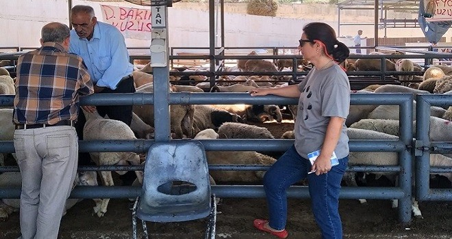 Karşıyaka Tarım ve Orman İlçe Müdürlüğü denetimleri sıklaştırdı