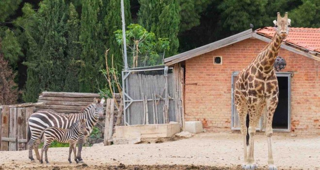Doğal Yaşam Parkı’nda kış saati uygulaması başlıyor
