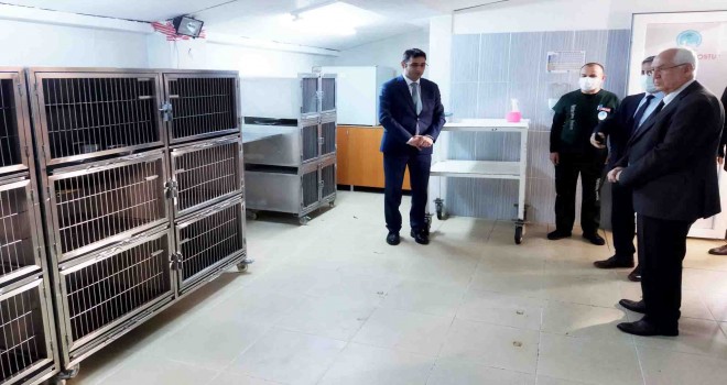 Can dostlar için örnek sistem