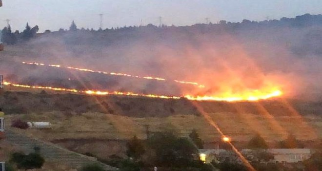 Karşıyaka'daki orman yangını kısa sürede kontrol altına alındı