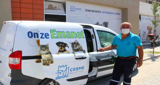 Çeşme Belediyesi’nden sokak hayvanlarına  ücretsiz veterinerlik hizmeti