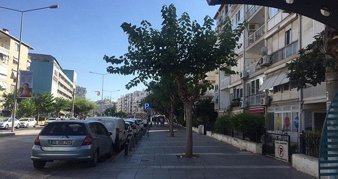 Şehitler Bulvarı'nda dutlar budandı