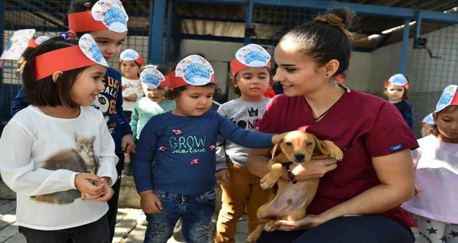 Can dostlar emin ellerde