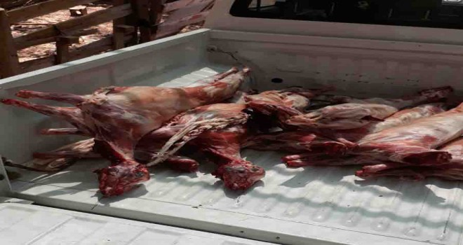 Kaçak et deposuna müdahale