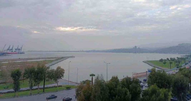 Yağmur sonrası İzmir Körfezi'nde yine ölü balık kokusu