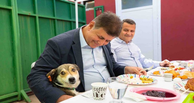 Başkan Tugay: Sokak hayvanları kent yaşamında var olacak