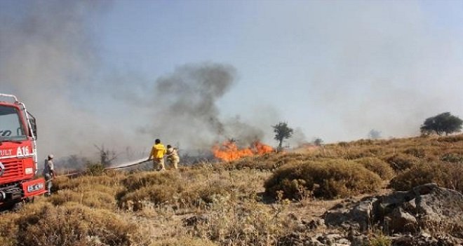 Aliağa'da 15 hektarlık makilik alan yandı