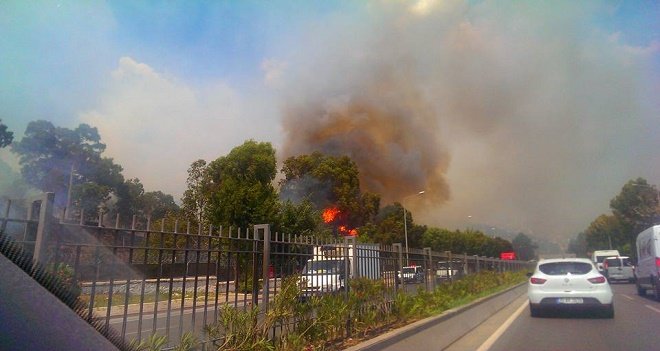 Atatürk Ormanı'nda yangın...
