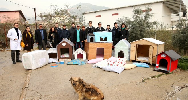 Atıklar can dostlara ev oldu