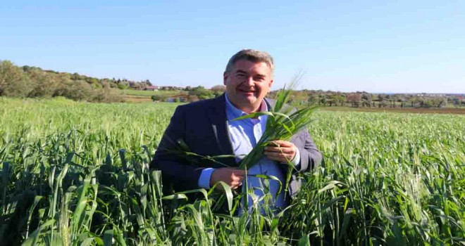 Çeşme’nin toprağından bereket fışkırıyor
