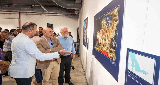 Soyer: Körfez’de tekrar yüzeceğiz